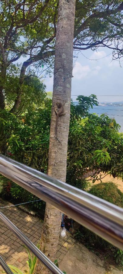 Jungle Beach Restaurant And Hotel-Jbr Galle Esterno foto